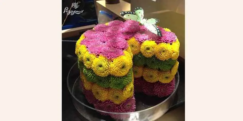 Пир на весь мир